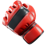 MMA
